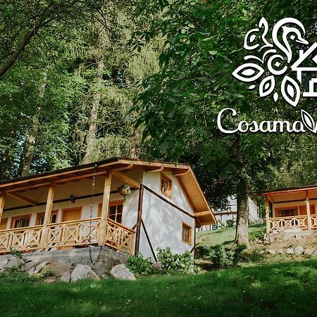 Cosama Village Sighişoara Exterior foto